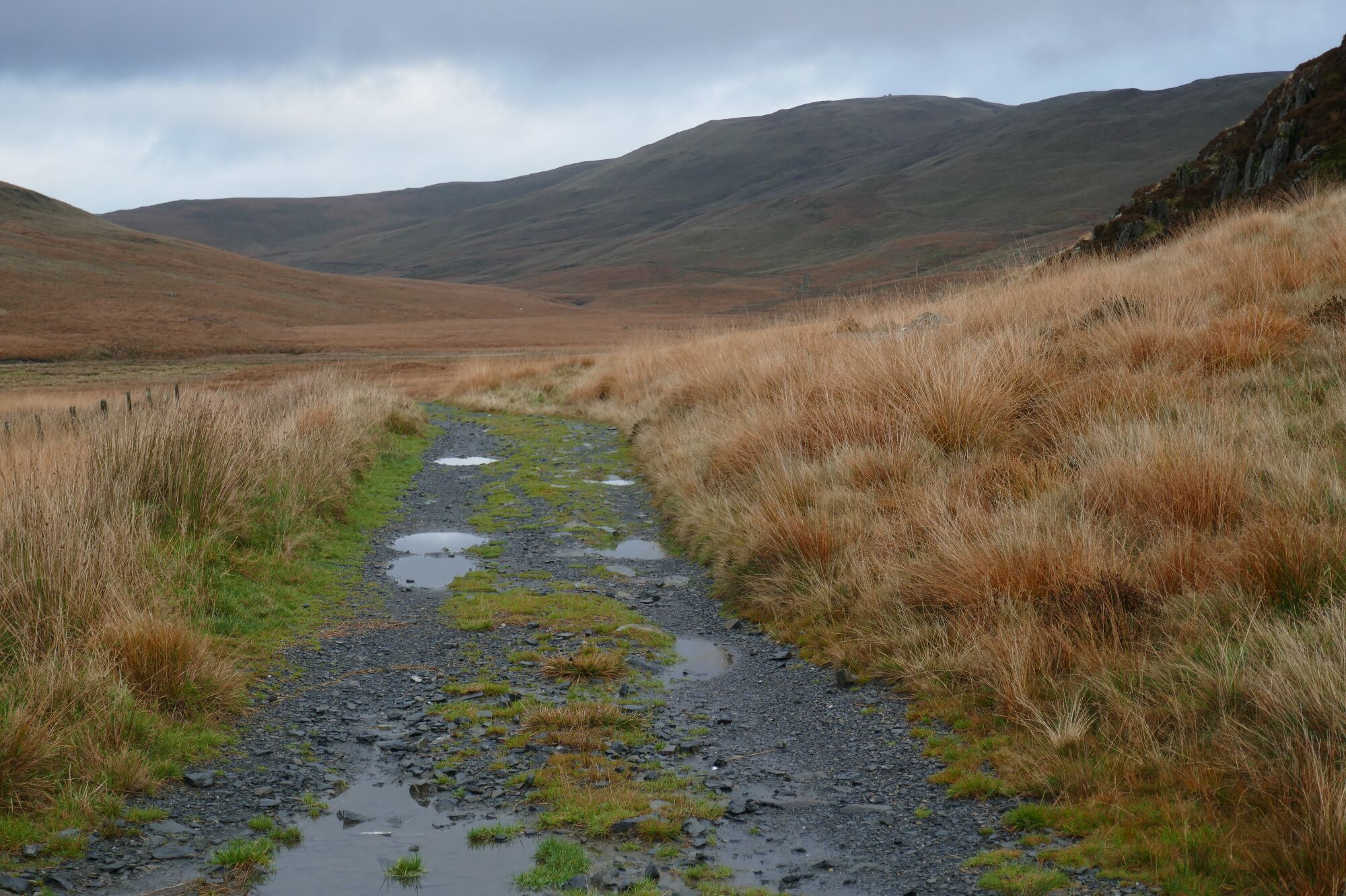 RachelSeabrook.net | Wild Walking | Cwm Hengwm | pic03